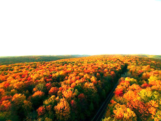 When And Where To View The Best Fall Foliage In PA | #PAGetaway